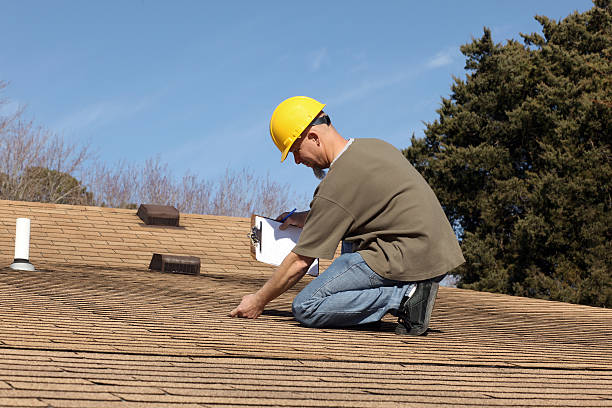 Best Asphalt Shingle Roofing  in Diboll, TX